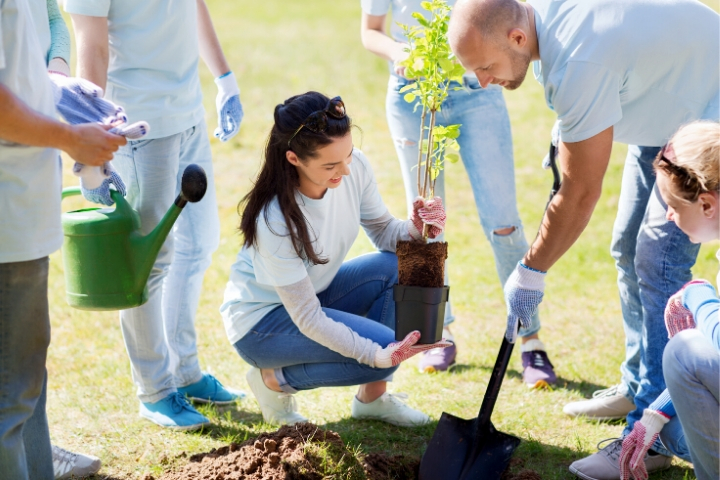 planting a community garden