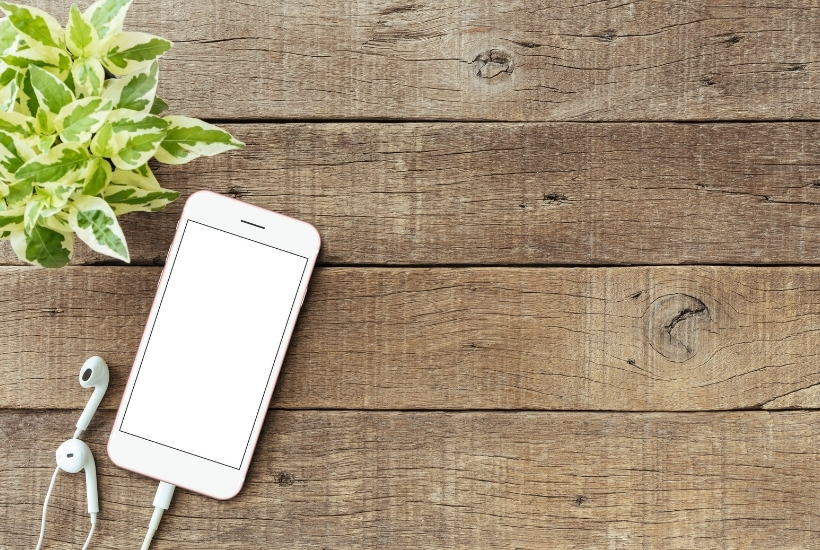 smart phone with earbuds and houseplant on a wood tabletop