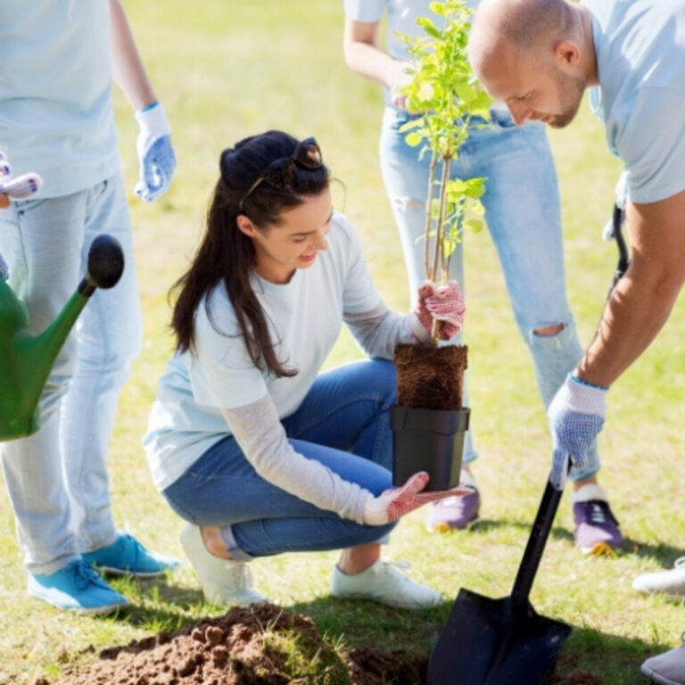 planting a community garden
