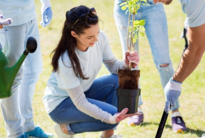 planting a community garden